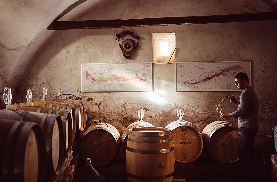 Weinhof Von Payr - Fotogalerie Photo