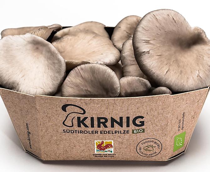 Kirnig - Fotogalerie Photo