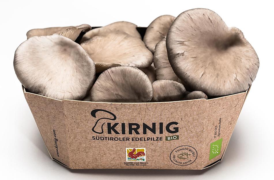 Kirnig - Fotogalerie Photo