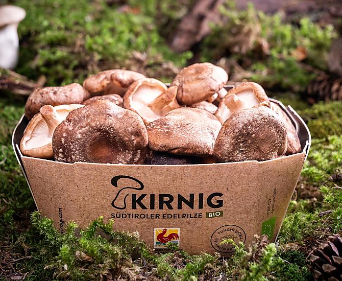 Kirnig - Fotogalerie Photo