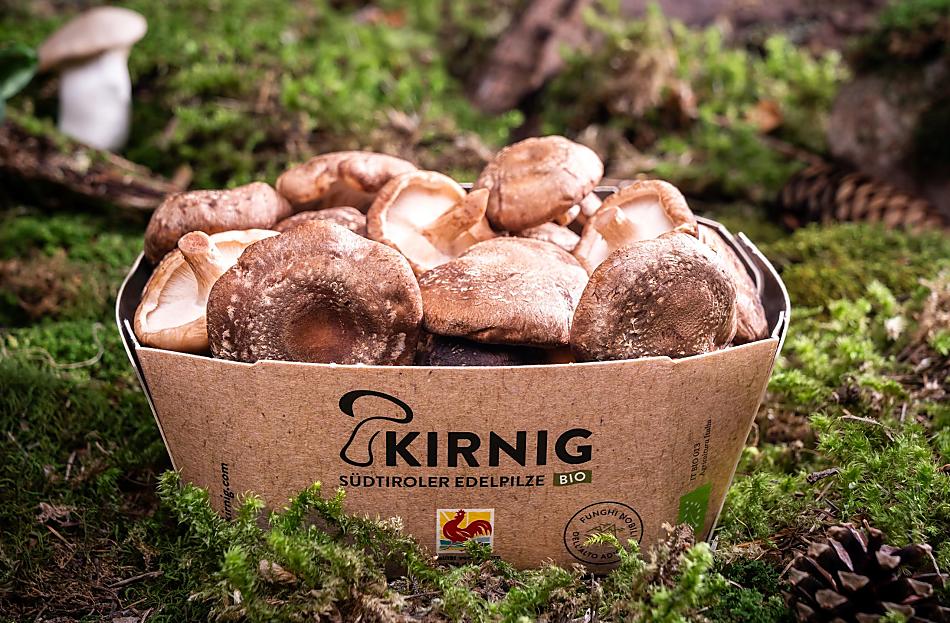 Kirnig - Fotogalerie Photo