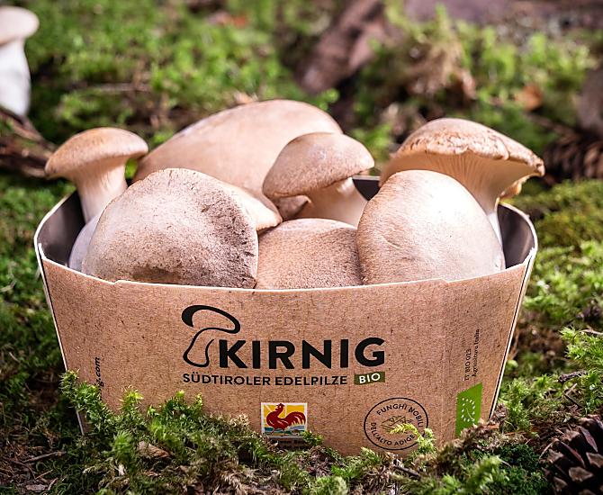 Kirnig - Fotogalerie Photo