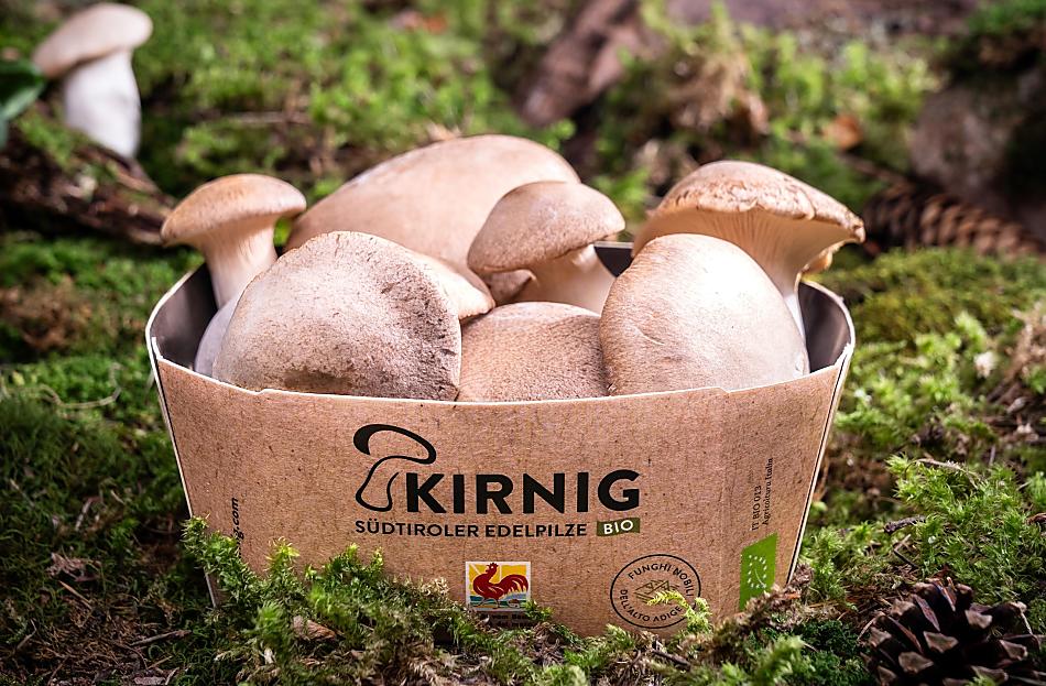 Kirnig - Fotogalerie Photo
