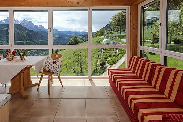 Der Wohnraum mit integrierter Küchenzeile ist vom Schlafraum durch eine Terrassentür getrennt.