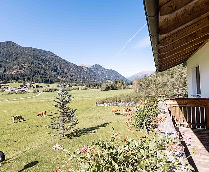 Innerkohlerhof - Fotogalerie Photo