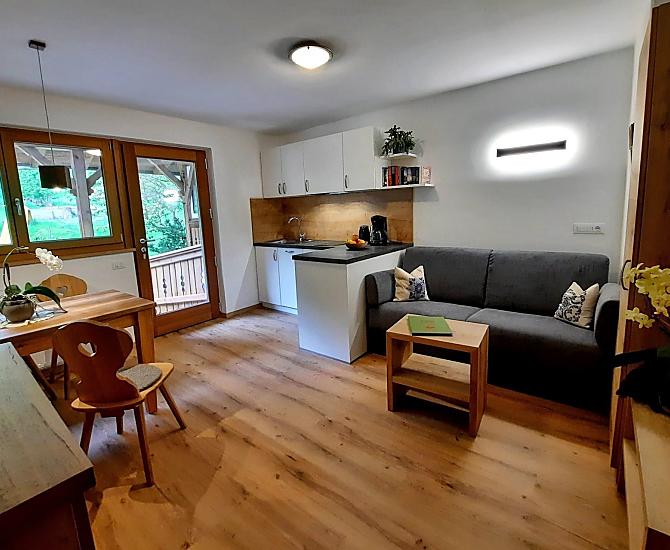 Wohnküche mit komfortablem Doppelbettsofa, großzügiger Sitzecke und moderner Küche. Direkter Zugang zur großen Sonnenterrasse.