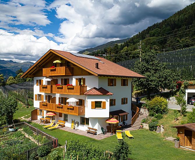 Oberlinterhof - Fotogalerie Photo