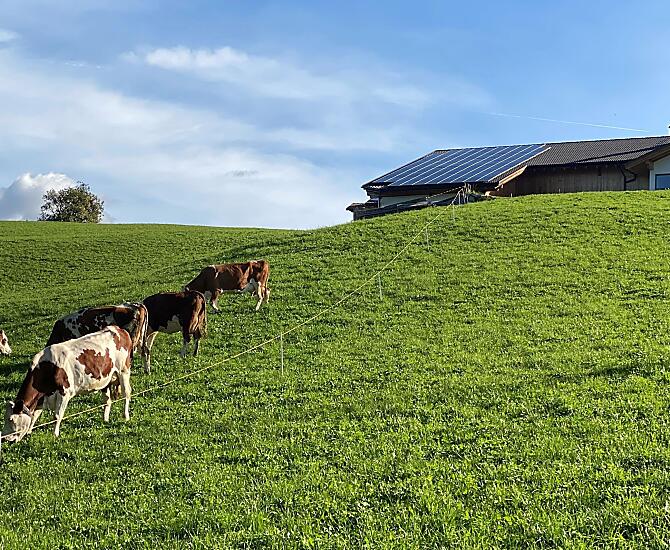 Forchnerhof - Fotogalerie Photo