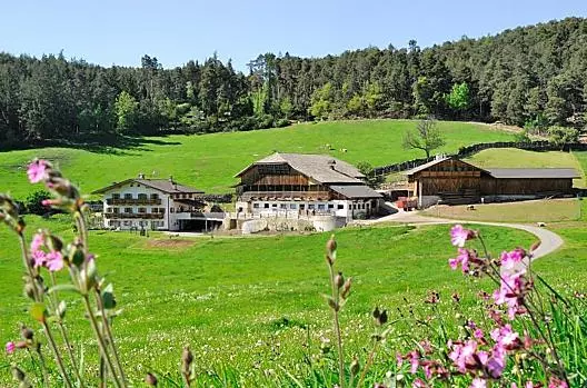 Feger - Seznam Photo