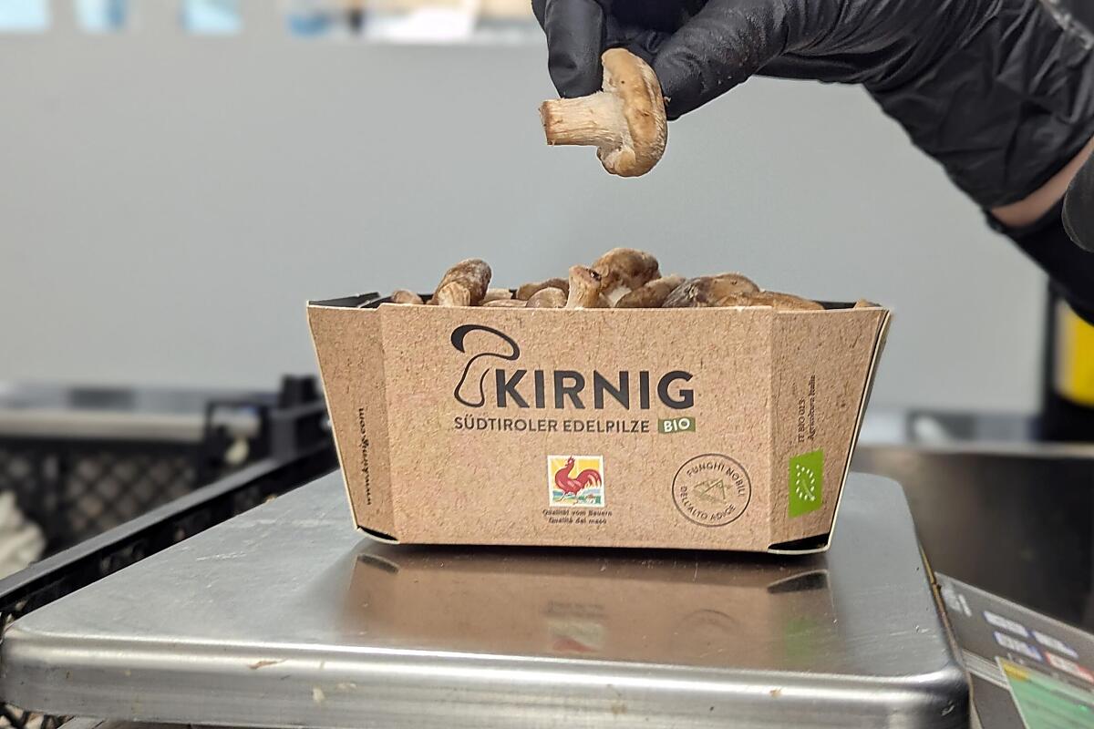 Kirnig - Fotogalerie Photo