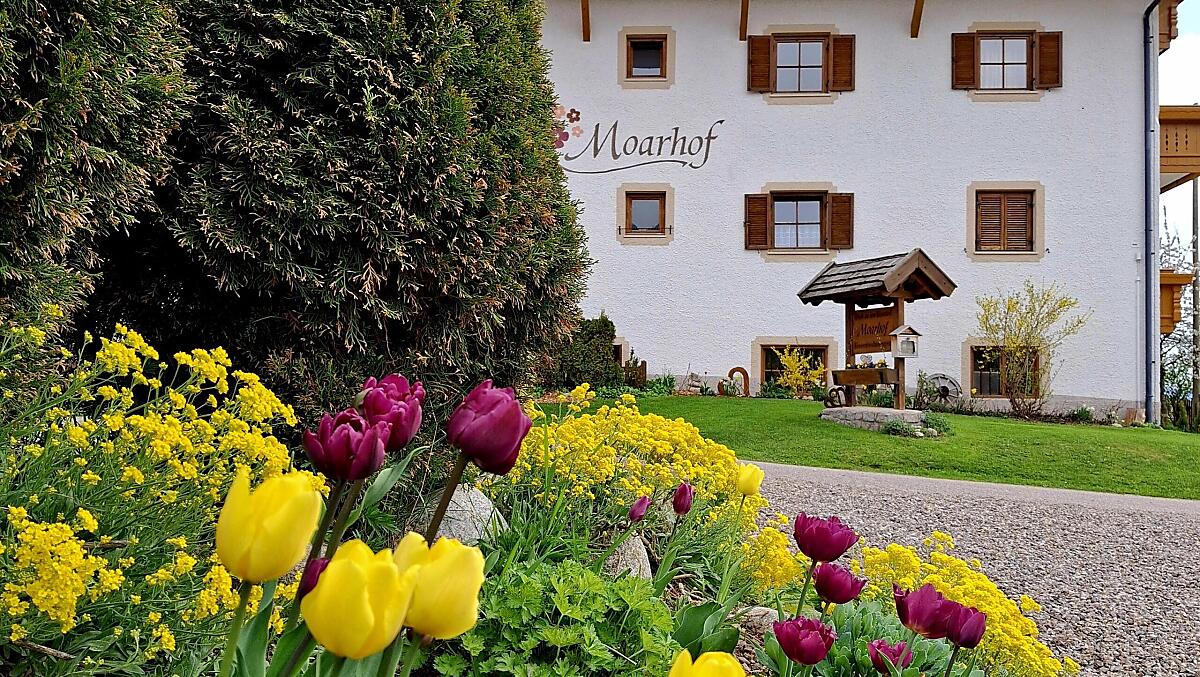 Moarhof - Fotogalerie Photo