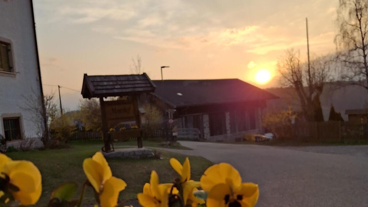 Moarhof - Fotogalerie Photo