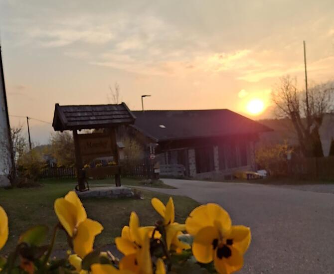 Moarhof - Fotogalerie Photo