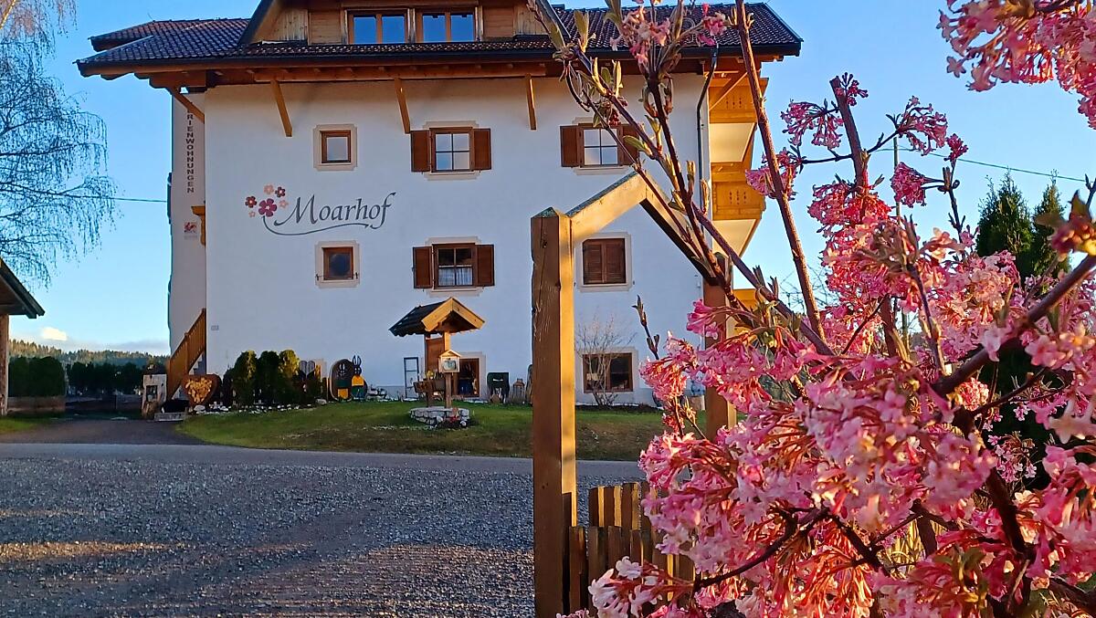 Moarhof - Fotogalerie Photo