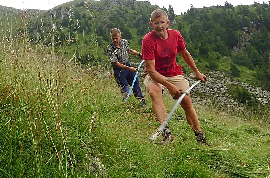 Innerkumpflhof - Seznam Photo