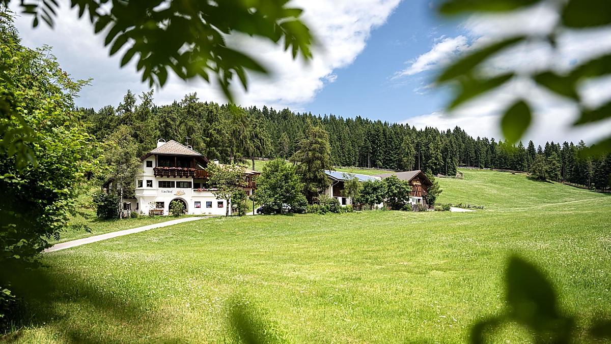 Lärchhof - Fotogalerie Photo