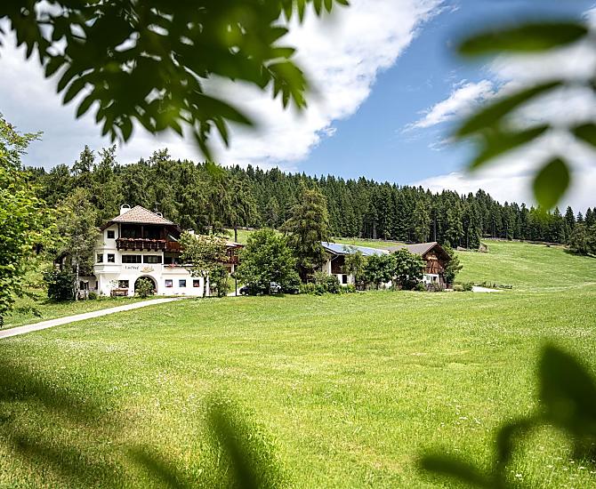 Lärchhof - Fotogalerie Photo