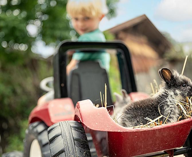 Lärchhof - Fotogalerie Photo