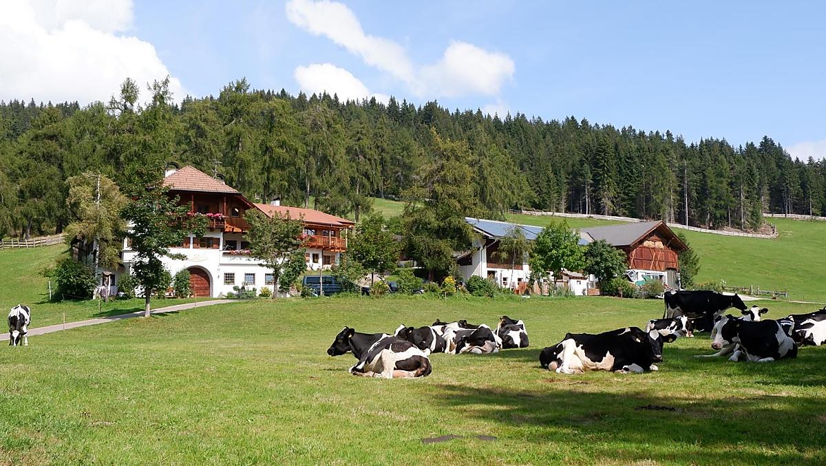 Lärchhof - Fotogalerie Photo