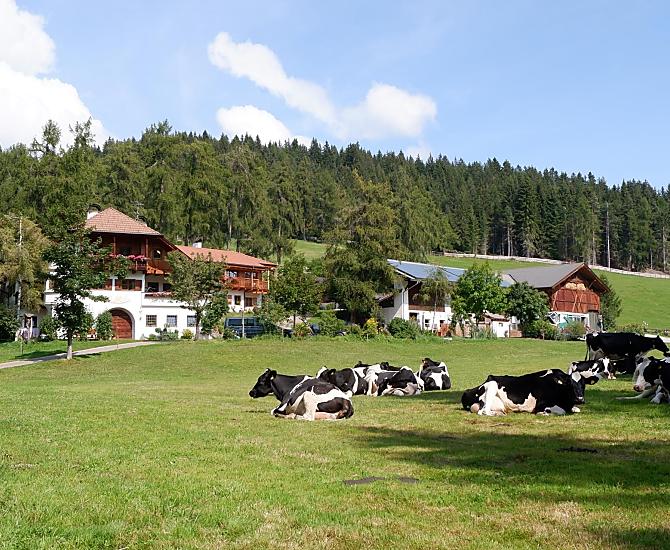 Lärchhof - Fotogalerie Photo