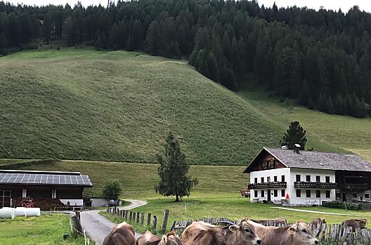 Boarhof - Seznam Photo