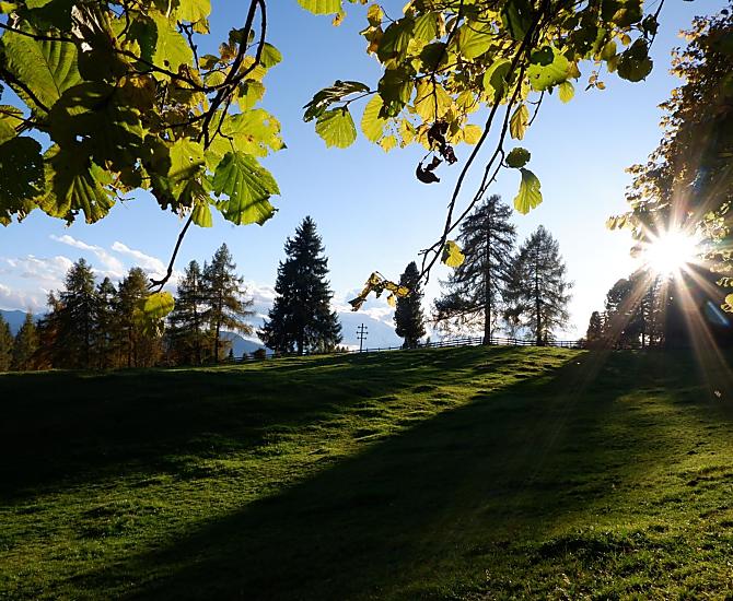 Wolfhof - Fotogalerie Photo