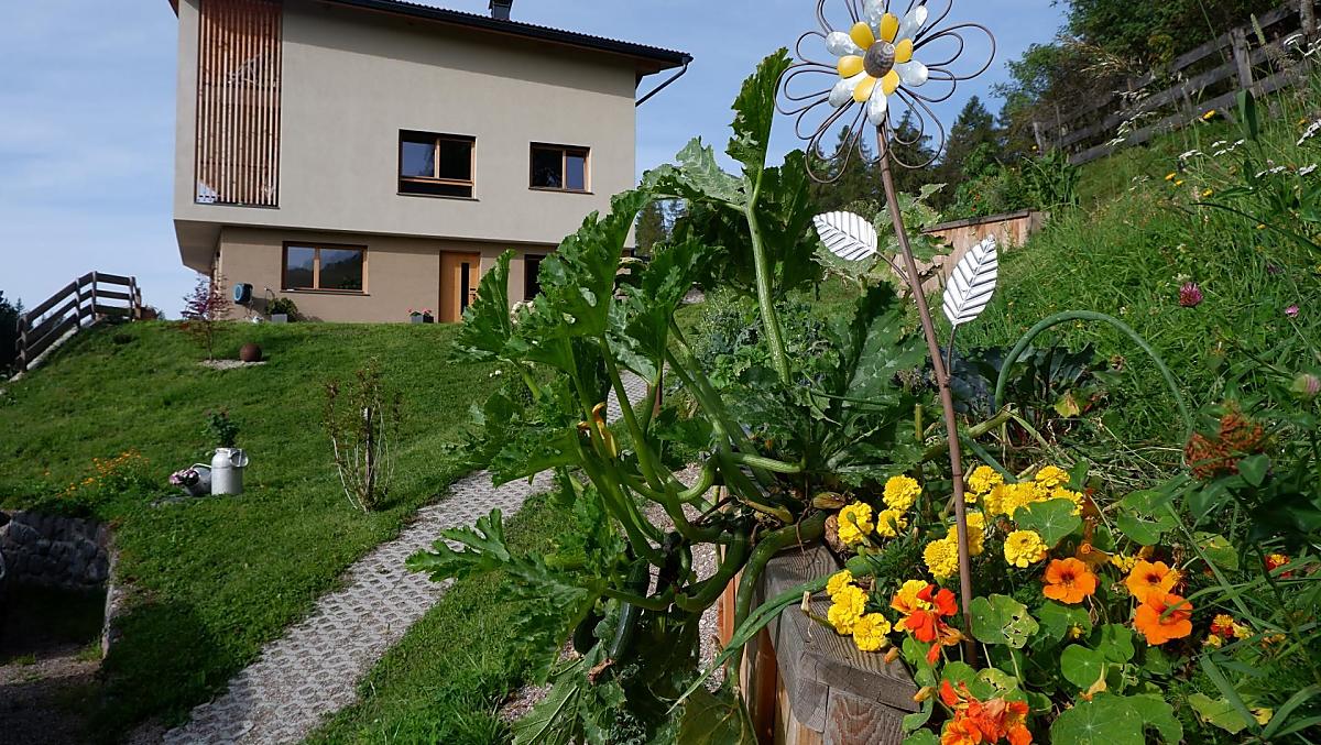 Wolfhof - Fotogalerie Photo