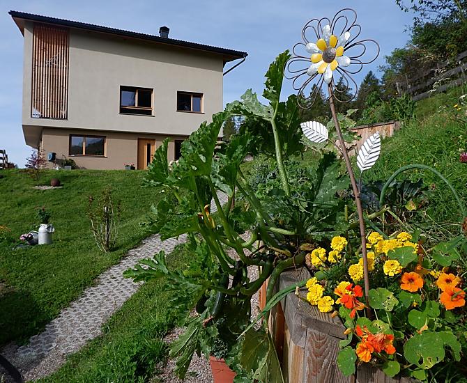 Wolfhof - Fotogalerie Photo