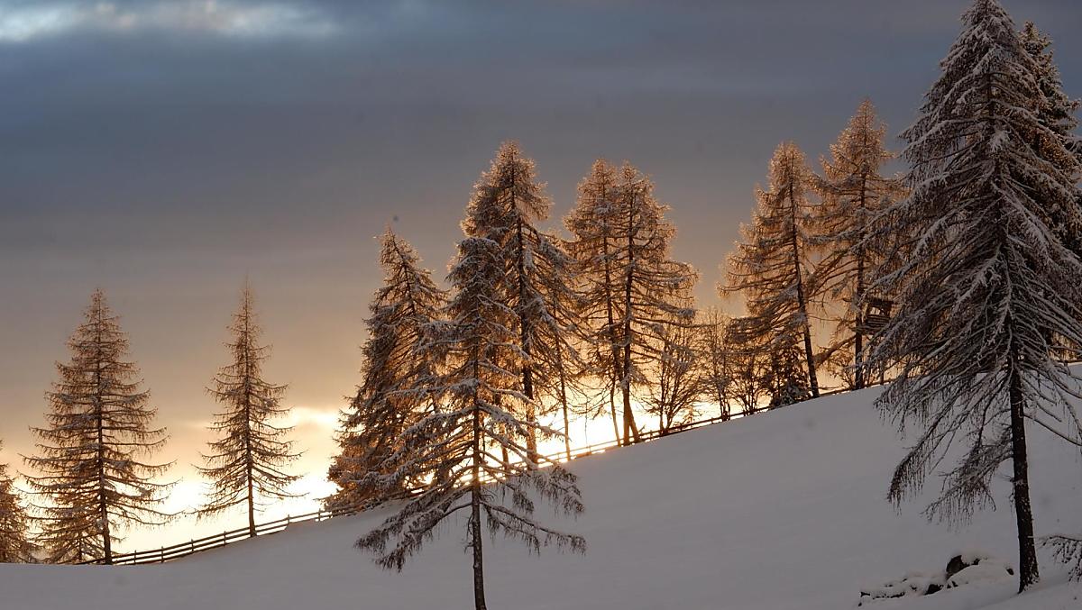Wolfhof - Fotogalerie Photo