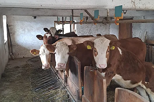 Wegerhof - Seznam Photo