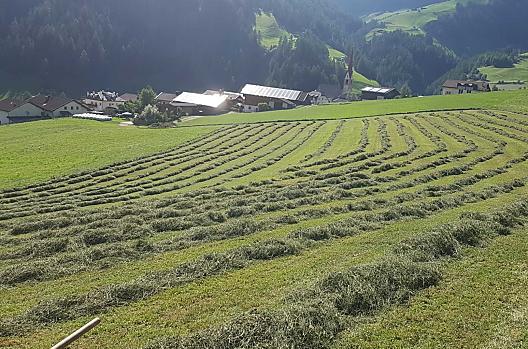 Lenzer - Seznam Photo