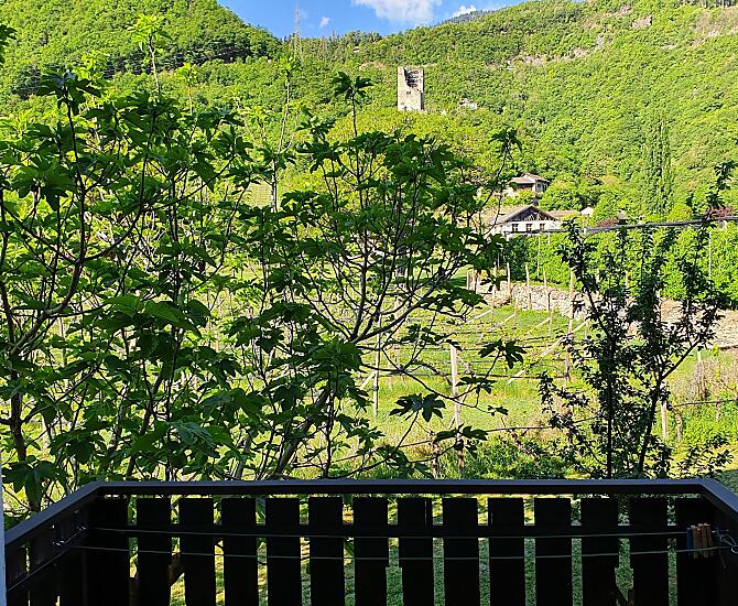 Haus Moargütl - Fotogalerie Photo