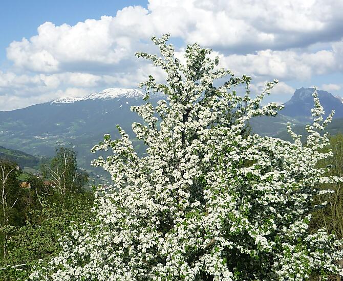 Rasöllerhof - Fotogalerie Photo