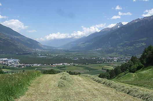 Můžete pomoci sklízet seno na naší louce a zároveň si užít nádherný výhled na krásné Vinschgau.