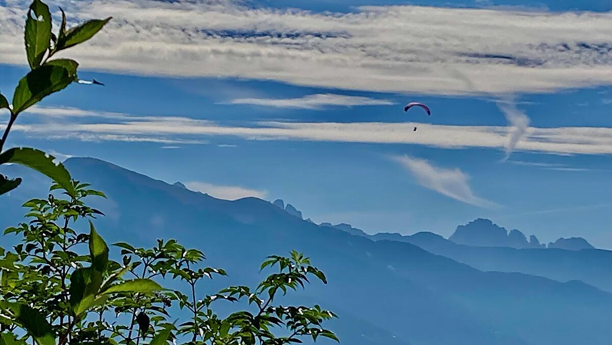 Brixlechnerhof - Fotogalerie Photo
