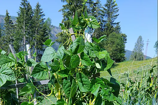 Unterstein - Seznam Photo