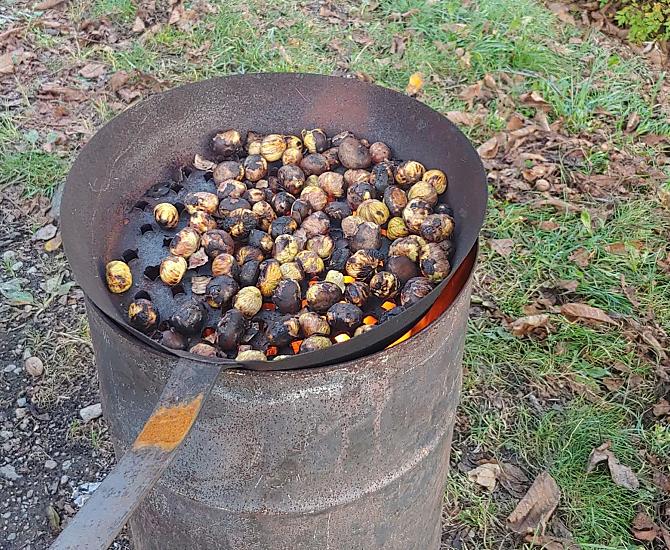 Pražení kaštanů