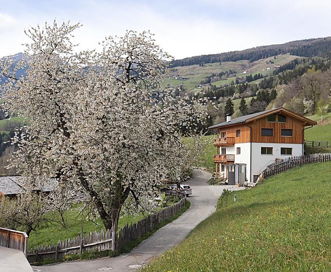 Unterplattner - gallery Photo