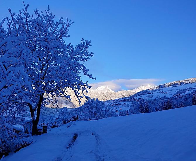 Unterplattner - gallery Photo