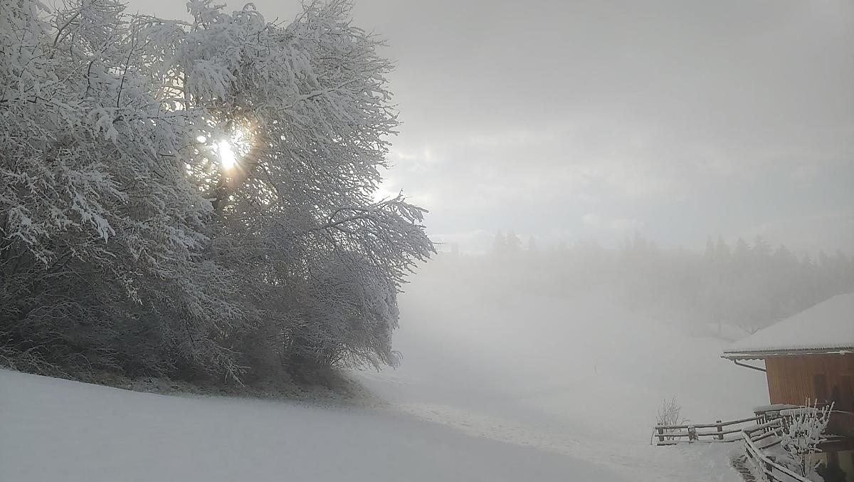 Unterplattner - gallery Photo