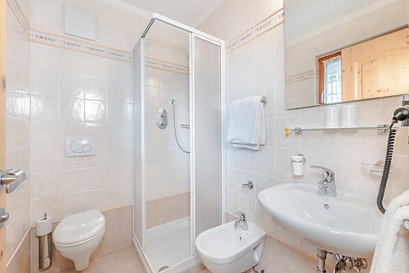 Ciasa Raut - room Photo