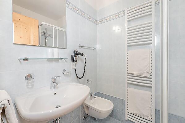 Ciasa Raut - room Photo