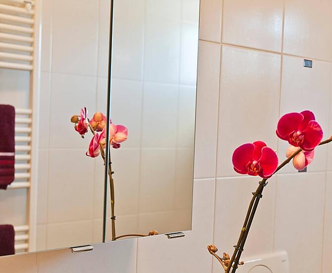 Sonnhof - Fotogalerie Photo