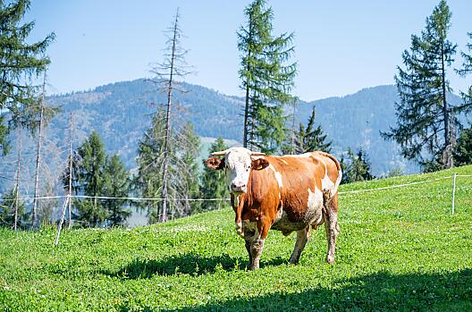 BioHeumilch