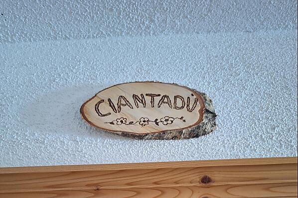 Ciasa Fordi - room Photo