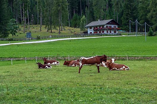 Roderhof - list Photo