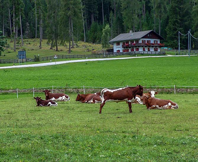 Roderhof - gallery Photo