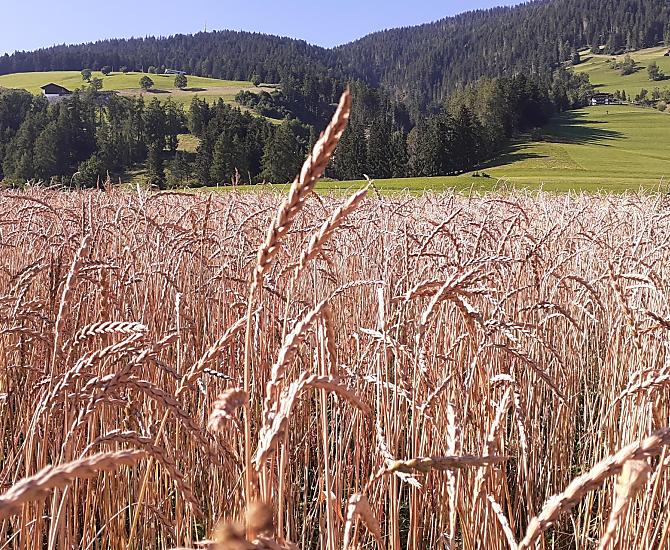 Schopferhof - gallery Photo