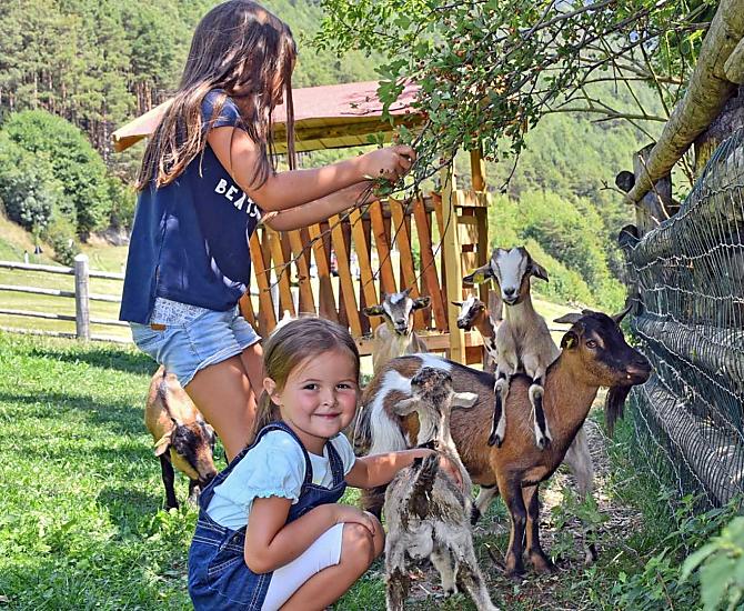 Na hrišti s kozami! Seznamte se s temito fantastickými zvíraty, Julia a Leonie vás doprovodí!