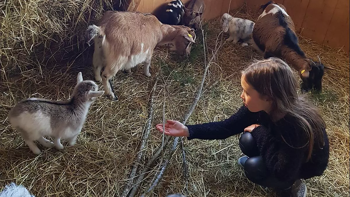 Naše Julie se stejne jako my velmi zajímá o blaho zvírat: Darí se potomkum dobre? Je stáj cistá? Je dostatek jídla?